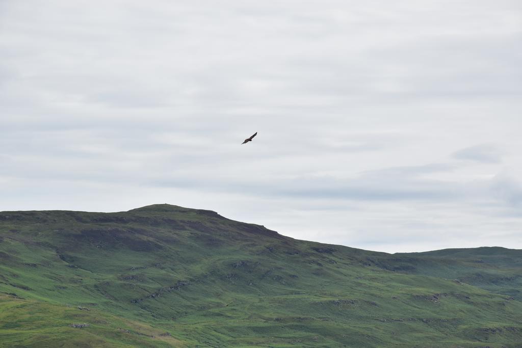 ホテル Killoran House Dervaig エクステリア 写真